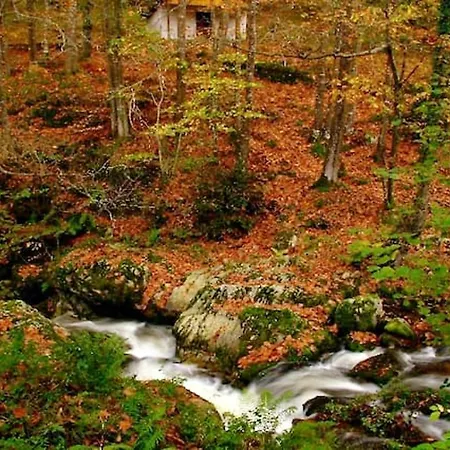 Charming In - 40 M² - Parking Included شقة