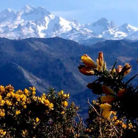 شقة Charming In - 40 M² - Parking Included *