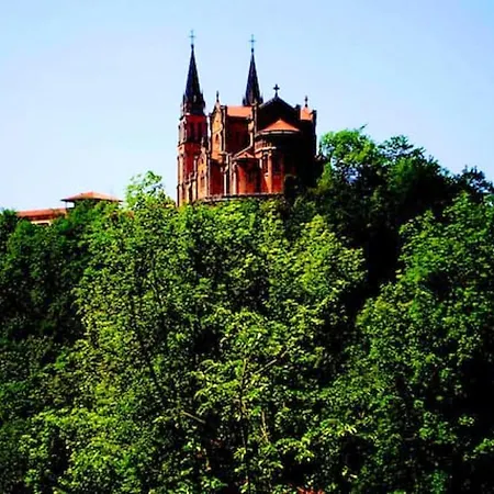 Charming In - 40 M² - Parking Included شقة