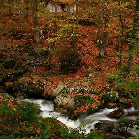 Charming In - 40 M² - Parking Included *
